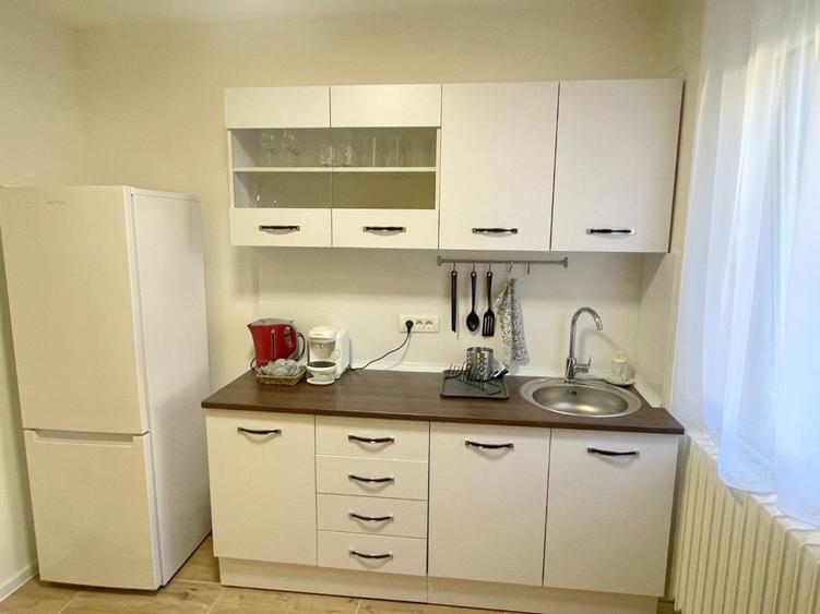Apartament 2 camere-Take Ionescu Timisoara