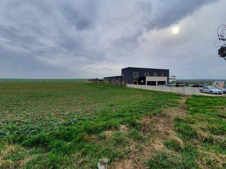 Teren 10000 mp INTRAVILAN Constanta
