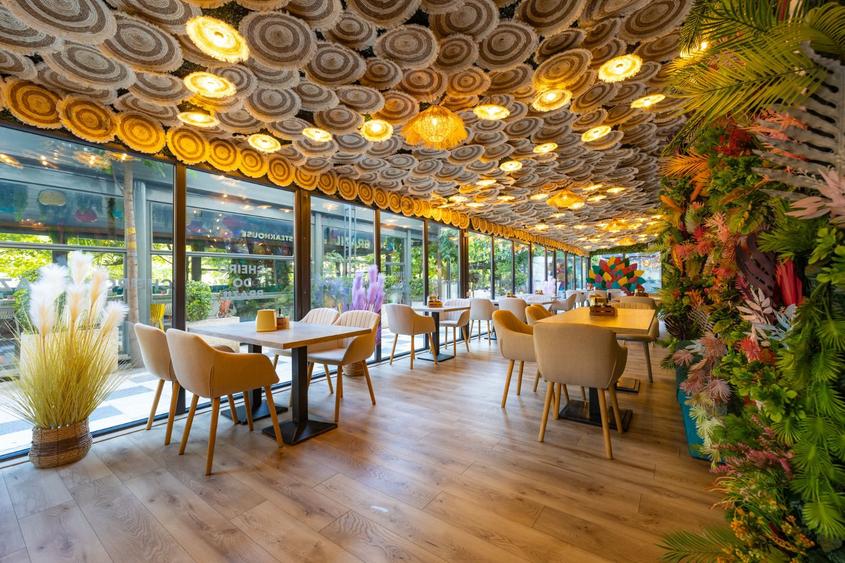 Decebal -DRISTORULUI -ALBA IULIA - 240 mp-PRET 5.000 EURO
