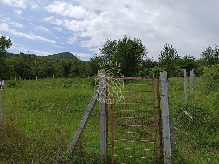 Teren 1000mp+cota drum-ideal cabana/investitie-panorama-Valea Rusului