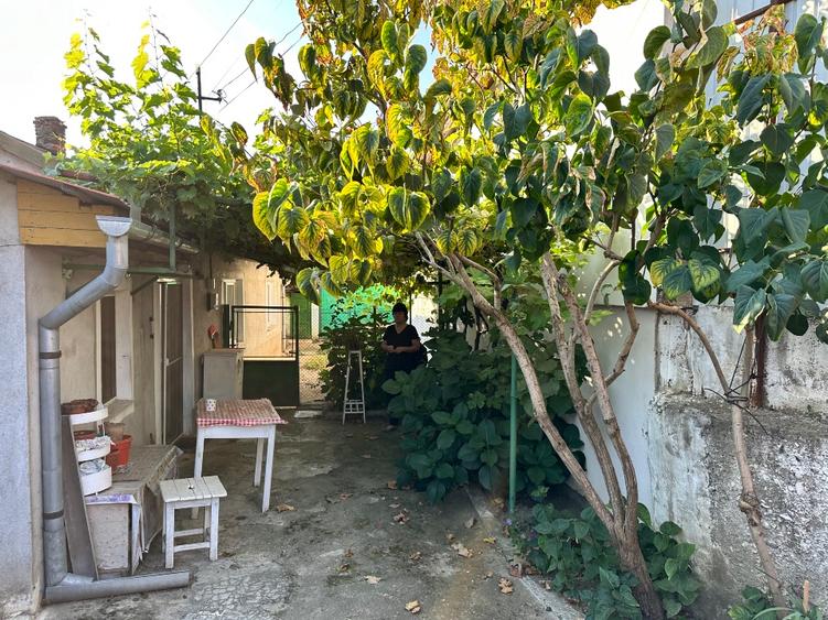 Vând casă cu grădină în Cugir