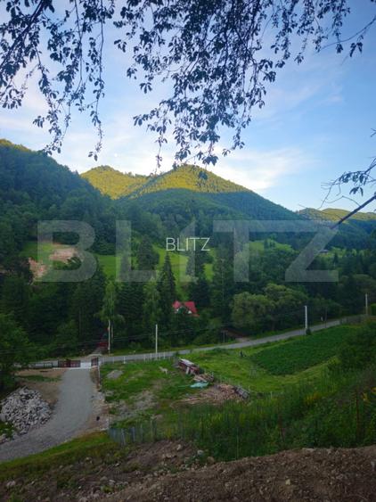 Teren de vanzare, 10.000 mp - Bistrita Bargaului, zona turistica - 2