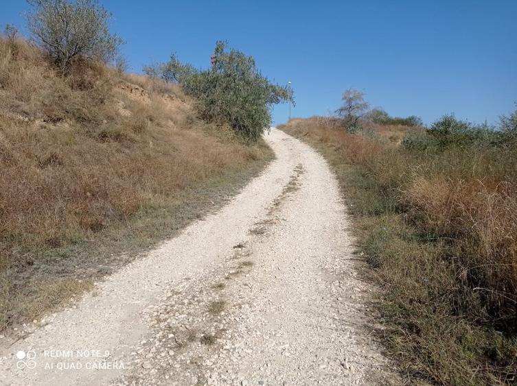 OCAZIE! CAP MIDIA -teren intravilan cu PUZ -5.000 mp, situat lângă mare!