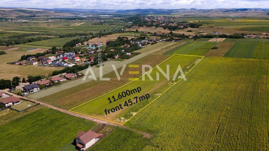 INVESTITIE! Teren constructii 11.600 mp | front 45.7m | Jucu de Sus