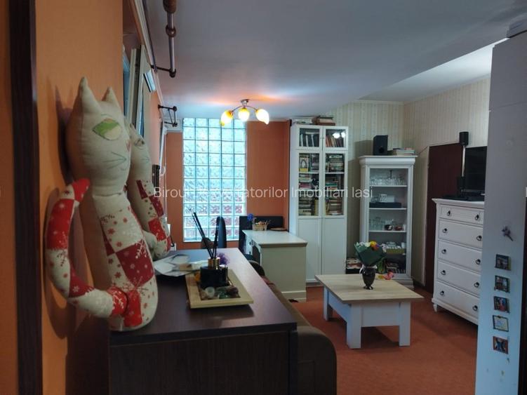 Casa cu 5 dormitoare, 170 mp utili, 500 mp teren, Podu de Fier - 19