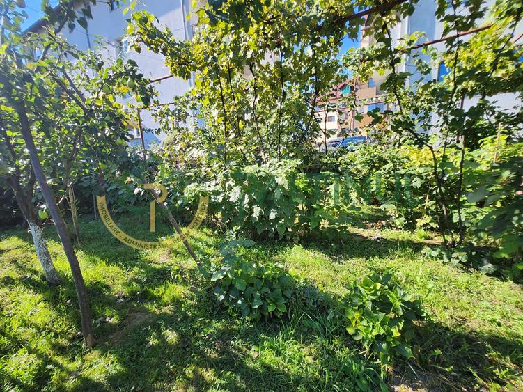 Casă Turnișor – 280 mp utili, teren 515 mp, curte și grădină pe rod