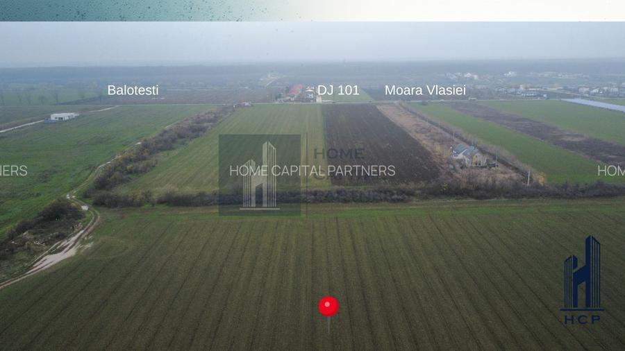 Teren de vanzare 10.000 mp | Căciulați, Moara Vlăsiei | Balotesti - 3