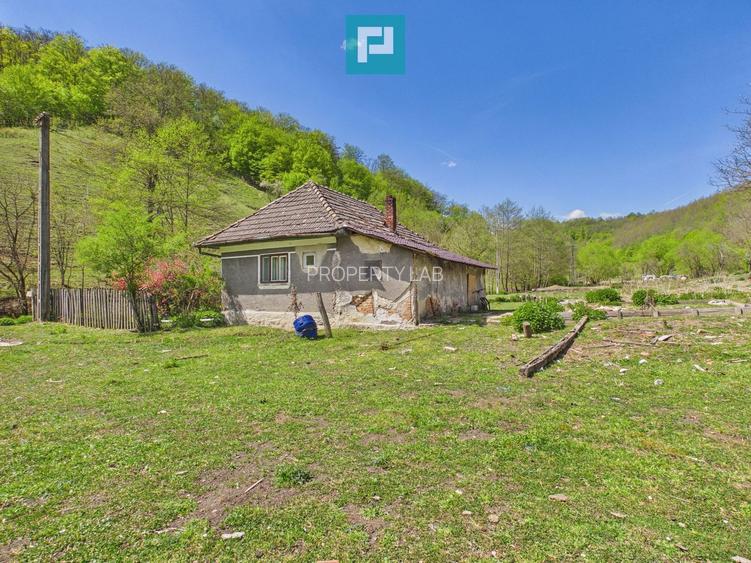 Teren  pentru investiții  în Luncoiu de Jos - 2