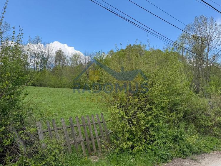 Teren Intravilan  – Provița de Jos | 1.939 mp | Curent electric