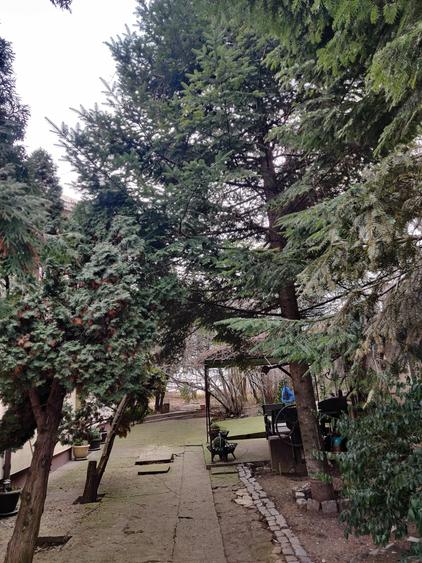 Vilă interbelică și teren 684 mp zona Viilor/Parcul Carol