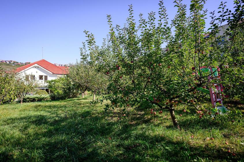 CASA Individuala ELEGANTA 280MP Teren 2150MP CAMPULUI