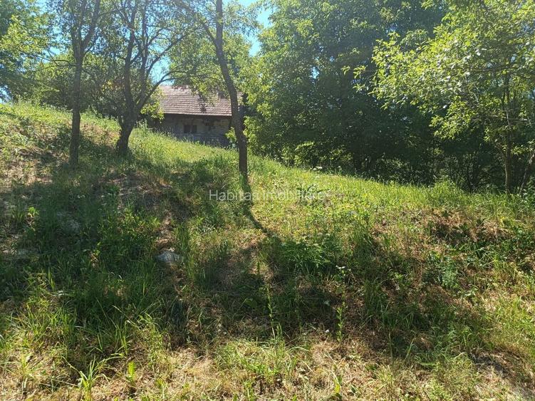 0 Comision Teren 1760 mp cu casa-Corusu, com Baciu, intravilan - 8