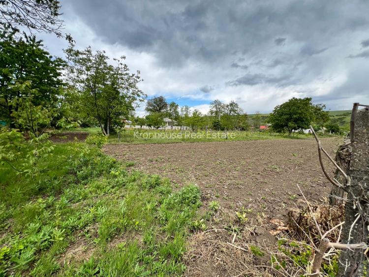 Casă + teren 4430 mp, vie și pomi fructiferi, 22 km de Tecuci - 18