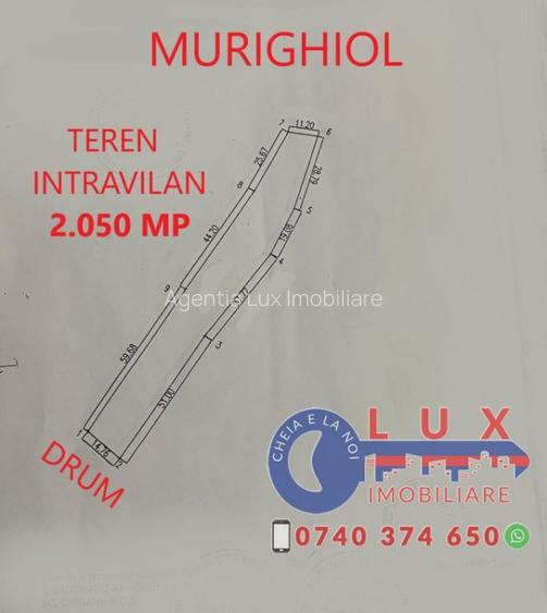 ID 7511 Teren INTRAVILAN - Comuna MURIGHIOL - 2