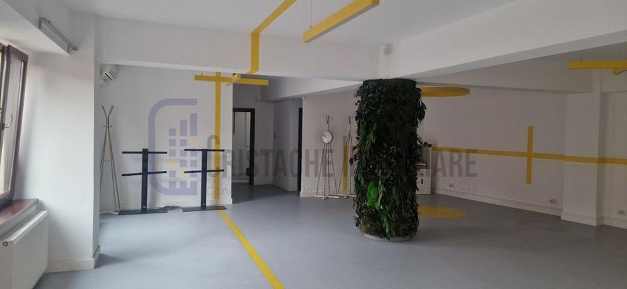 Vila P+2, suprafata 380 mp, Principatele Unite, Piata Unirii