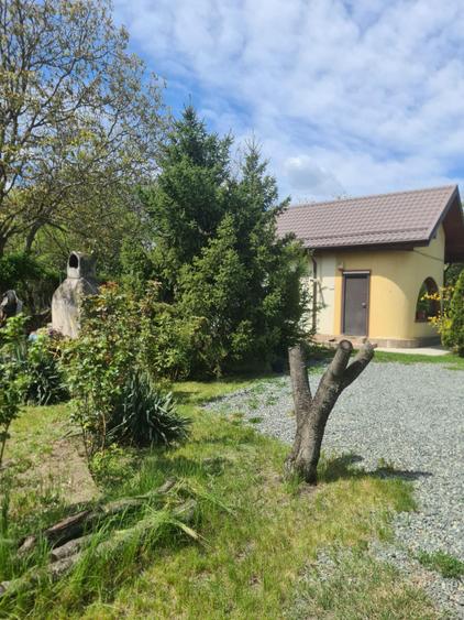Casa curte/ Otopeni/ curte foarte mare/firma rent a car/parcare long t