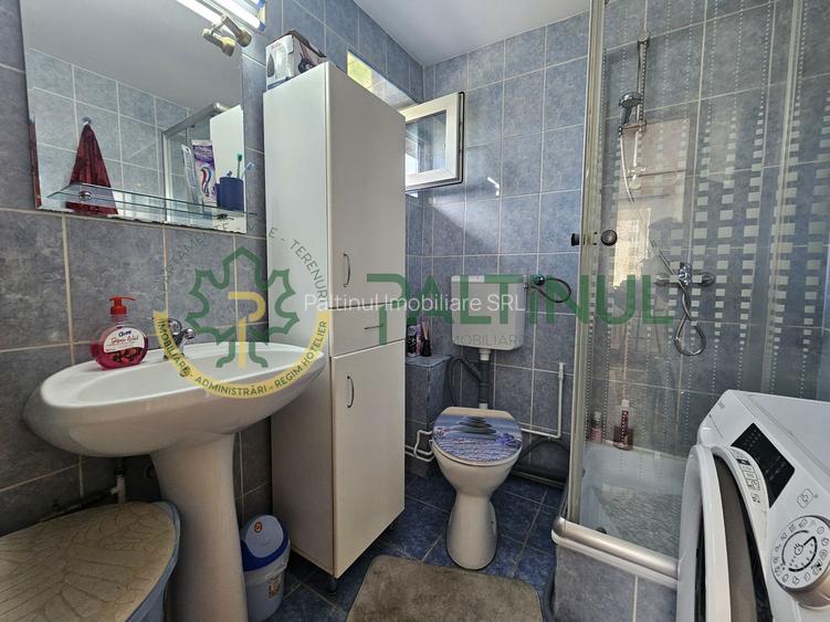 Apartament 3 camere de vanzare, zona centrala, langa Parcul Sub Arini - 9