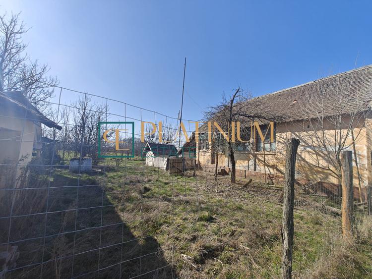 P4858 Casă bătrânească cu teren de 5.003mp, Cebza - 5