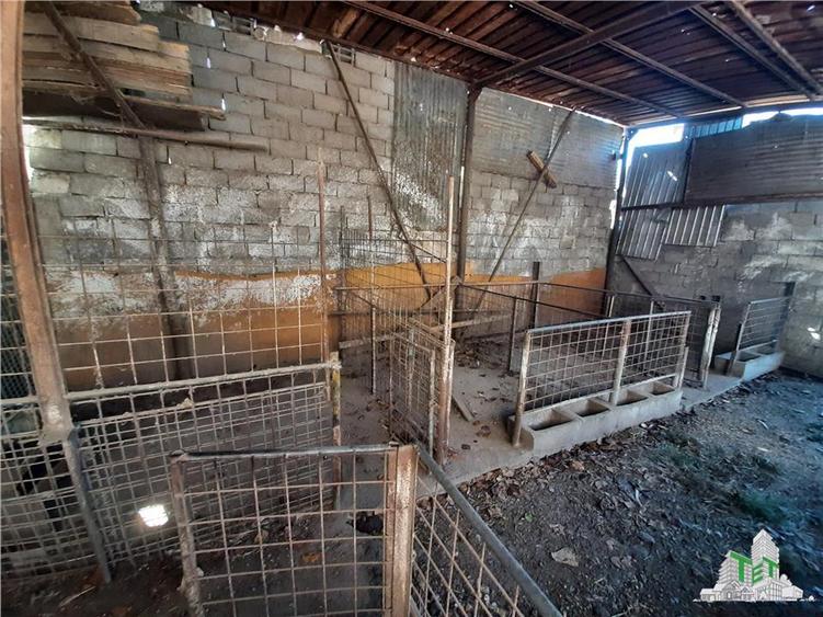 Teren 4000 mp + casa demolabila in Bragadiru/Varteju (Magurele)