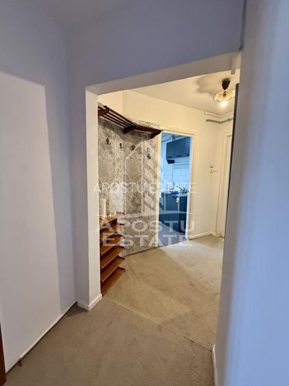 Apartament 3 camere, pet-friendly, de inchiriat, Dambovita, Timisoara - 8