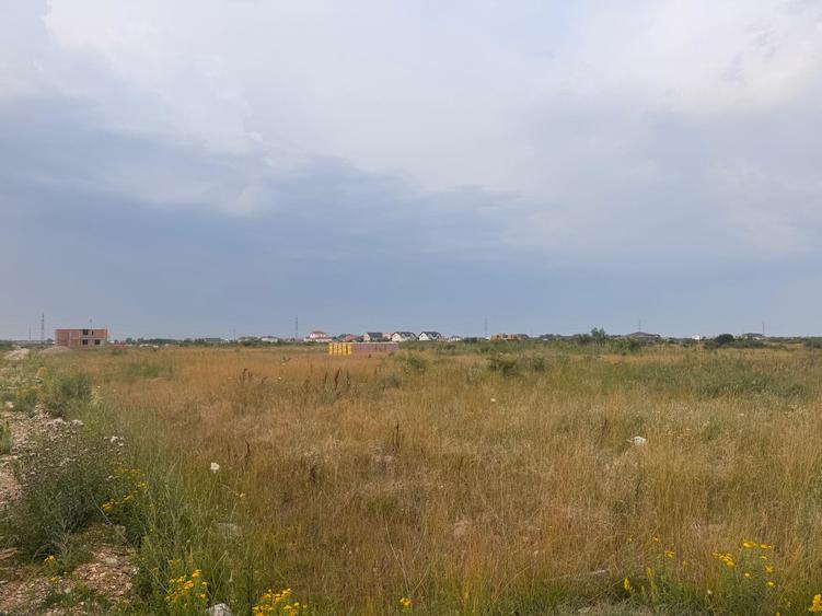 PARCELE DE VÂNZARE – MOȘNIȚA NOUĂ (în spatele Castelului)-Timisoara