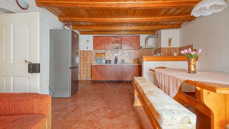 APARTAMENT ISTORIC 110 MP CU POD SI VEDERE SPRE STRADA REPUBLICII - 19