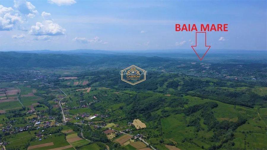 Teren 5.194 m² | 181 metri front la strada Principala (DJ 182C) | Servicii - 11