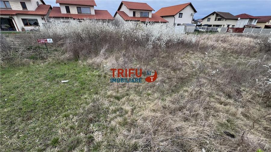 Teren de vanzare 500mp Alba Micesti