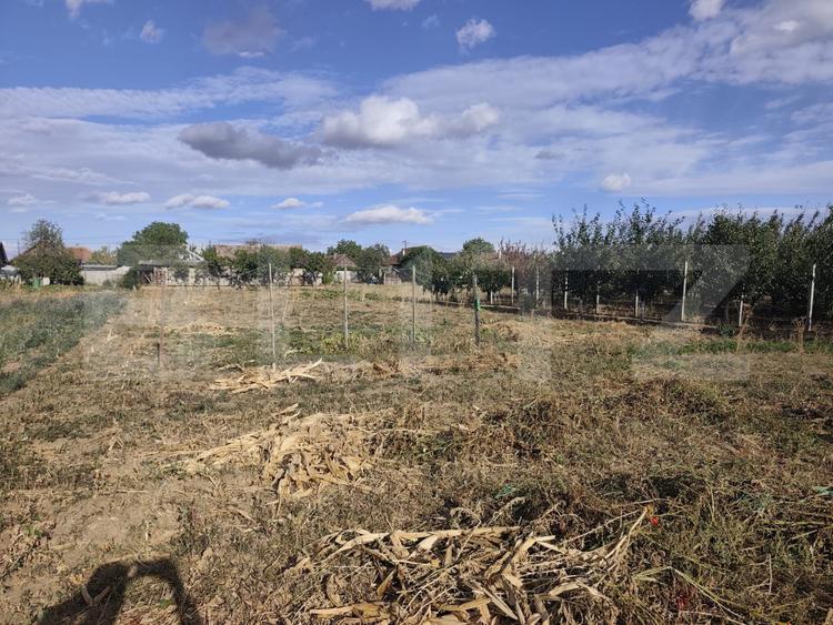 Casa de vanzare in Sinicolau Roman cu teren generos de 1200mp