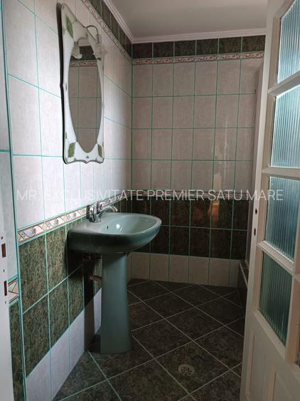 Vilă P+E de vânzare în Valea lui Mihai – 233 mp, teren 733 mp - 28
