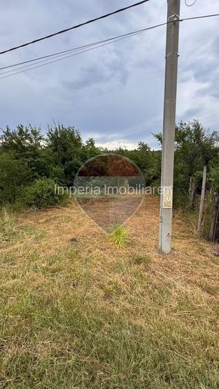 Teren 20798mp, DE 70 Craiova-Drobeta, Balota, Prunisor - 4