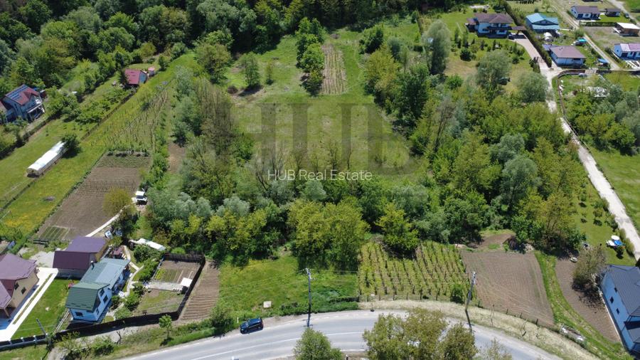 Teren intravilan | langa padure si parau | Luncani/Bacau - 2