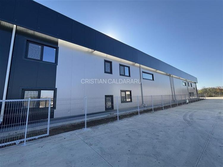Vanzare depozit/hala/spatiu industrial Chitila - Centura - Rudeni - 8