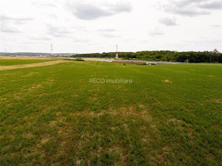 RECO Teren intravilan Haieu 4408mp - 6