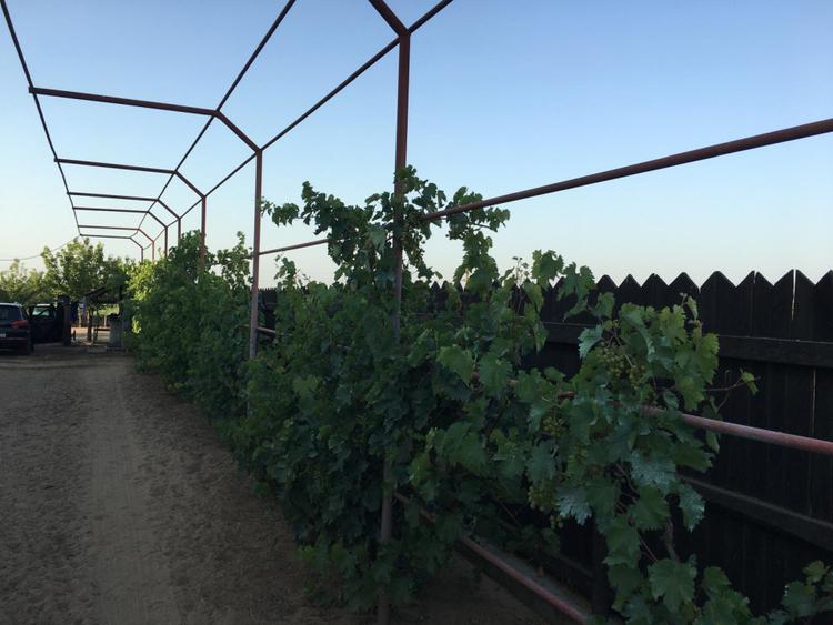 Casă spațioasă 184 mp de vânzare – Sadova, Dolj