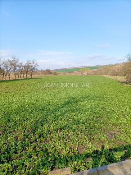 Vanzare teren intravilan parcelabil, in localitatea Rascruci - 2