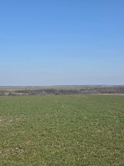 Teren de vanzare, 3800 mp, zona Mischii sat Gogosesti