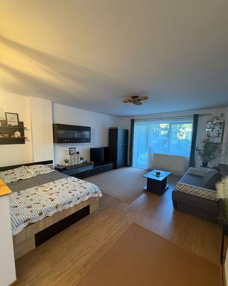 Garsonieră cochetă în Tilișca 40 mp + balcon generos Etaj 1