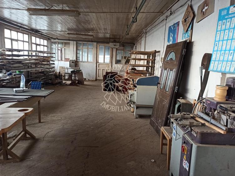 Complex de 3 hale 1545 mp-ideal prelucrare, service-Valea Ghinzii