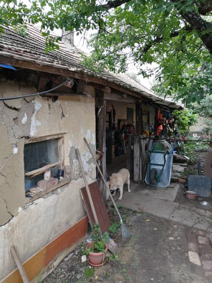 De vanzare teren intravilan, în vatra satului, cu casa veche demolabila, 903 mp