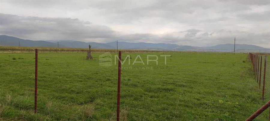 Teren intravilan cu PUZ 30.000 mp Prejmer