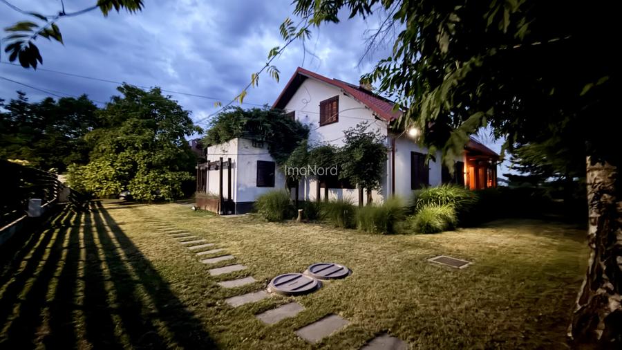 Proprietate exclusivistă cu 7.000 mp teren, piscină și multiple spații adiacente - 5