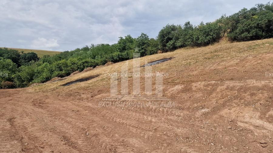 Teren intravilan | 2000 mp | Toate utilitatile | Micesti-Sard - 4