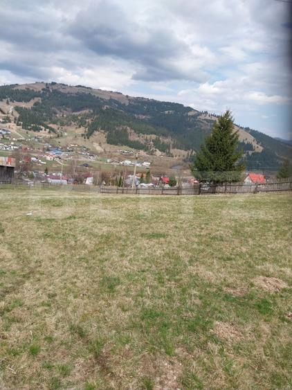 Teren intravilan, 4000 mp, Vatra Dornei