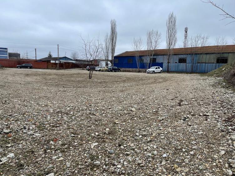 Vand teren cu hale 8.000 mp Sos. Bucium nr. 23