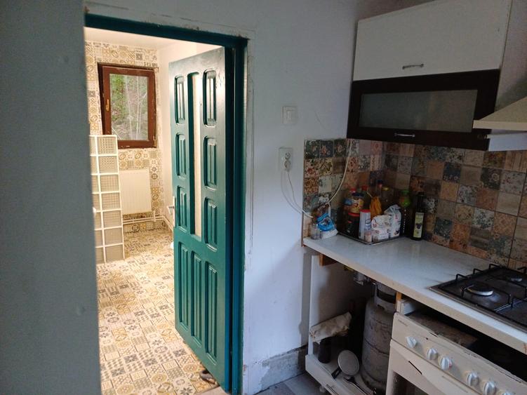 Vrancea - Nistoresti ! Vanzare ! Vila cu personalitate si potential turistic !