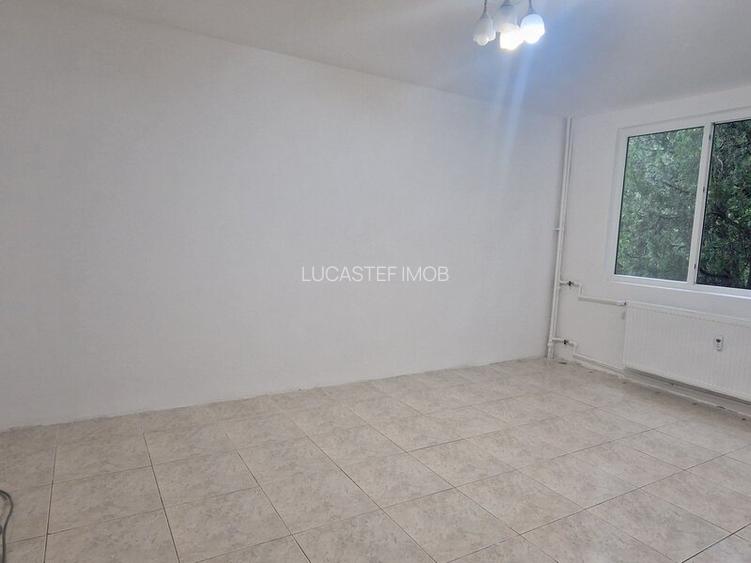 2Camere Drumu Taberi Timisoara - 6