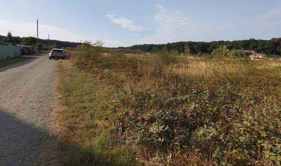 Vanzare 1875 mp teren Snagov, langa padure, zona superba, toate utilitatile