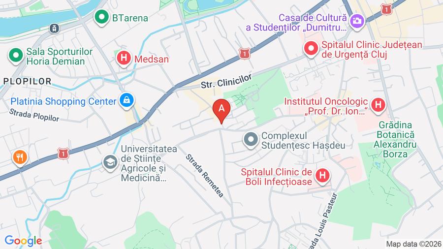 Spațiu comercial zona Hașdeu