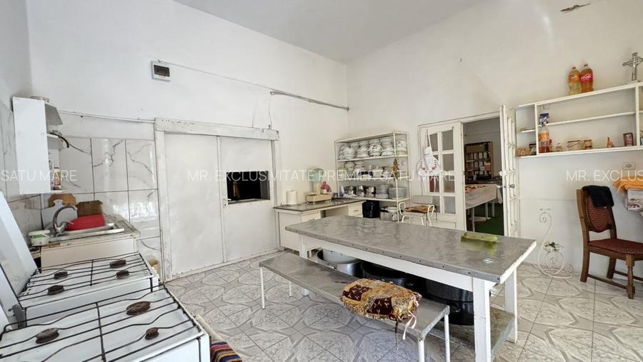 Spații de Inchiriat - Proprietate cu funcțiuni mixte – Str. Căplenilor Carei - 19